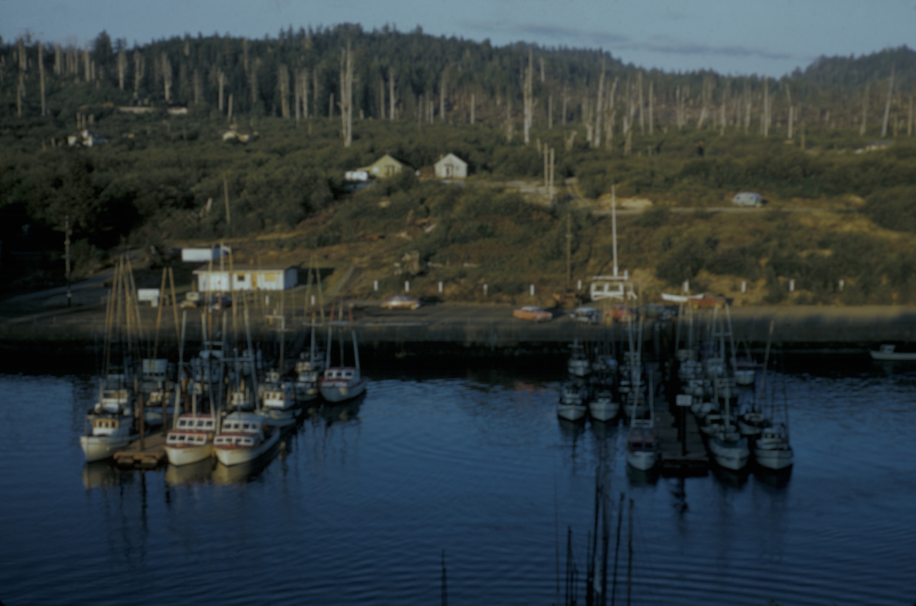 Typical commercial salmon trollers and party boats