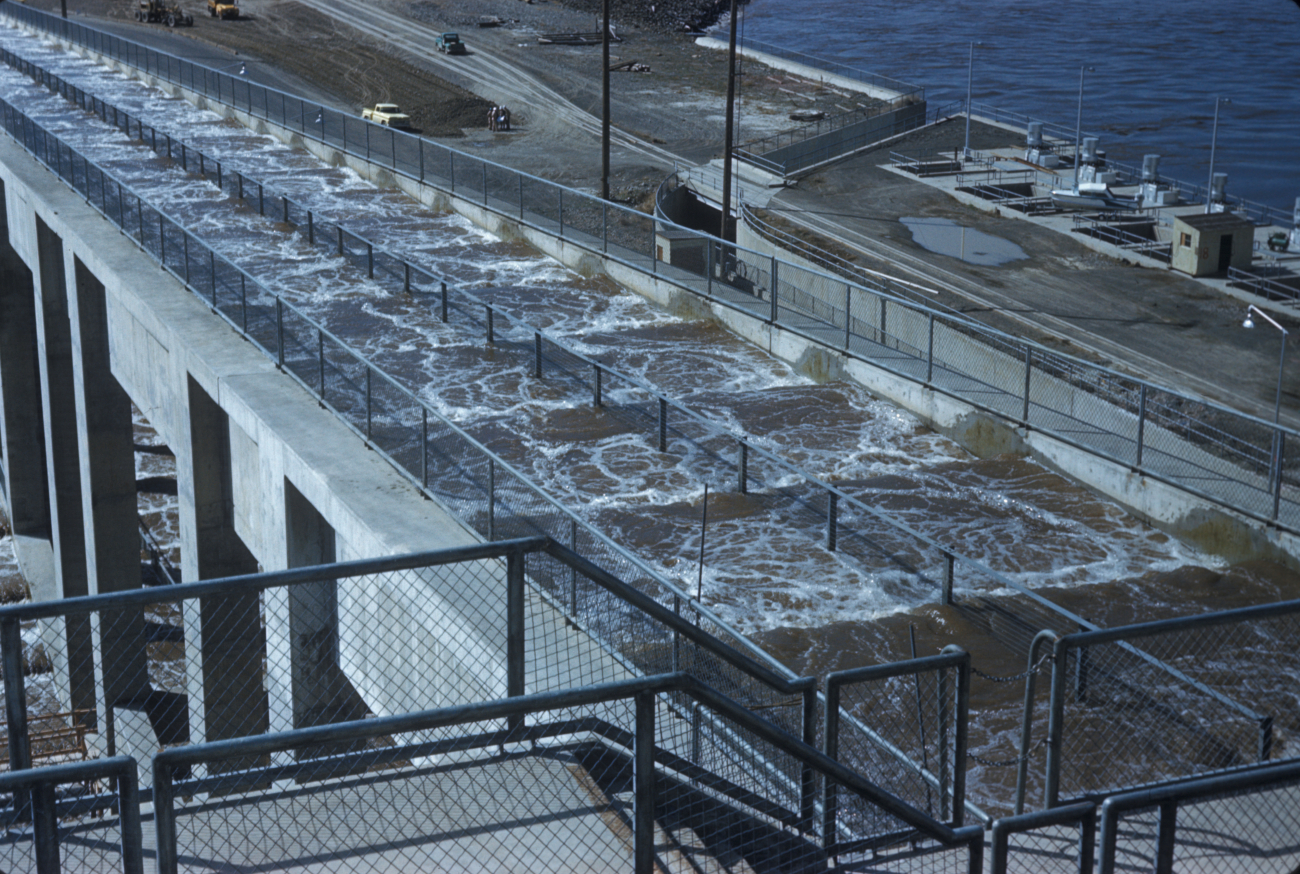Ice Harbor Dam fish ladder with test dividing strip