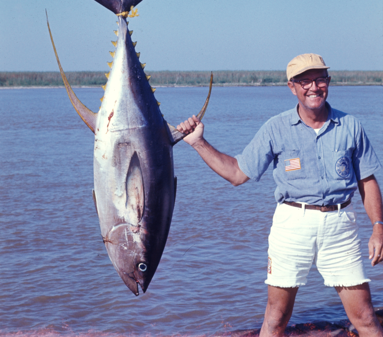 Yellowfin tuna (Thunnus albacares) caught by recreational fisherman