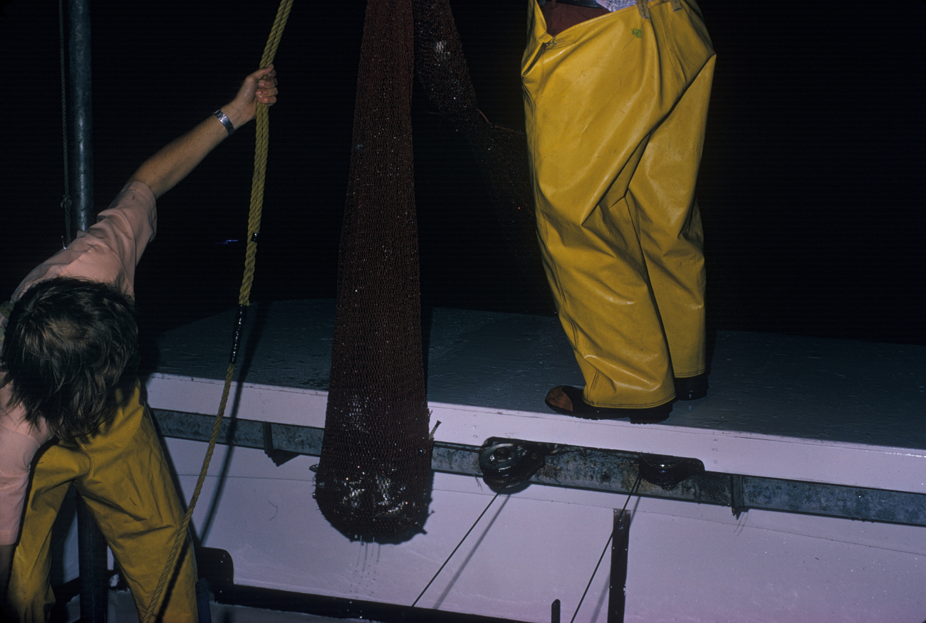 Night trawling on the NMFS research vessel RACHEL CARSON