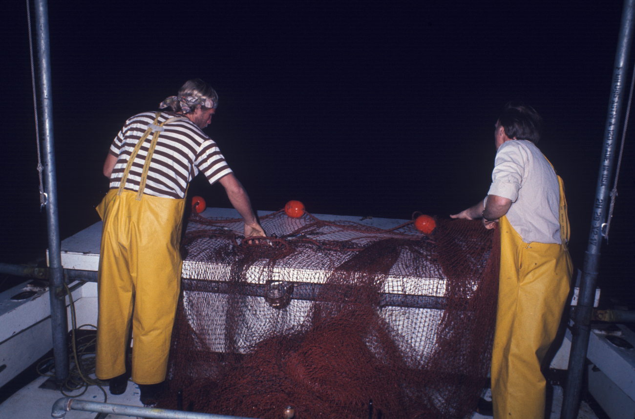 Night trawling - hauling back on the Research Vessel RACHEL CARSON