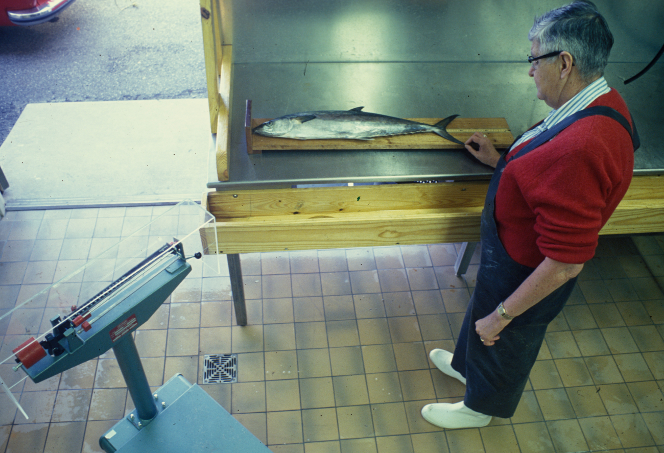 Measuring fish biometrics