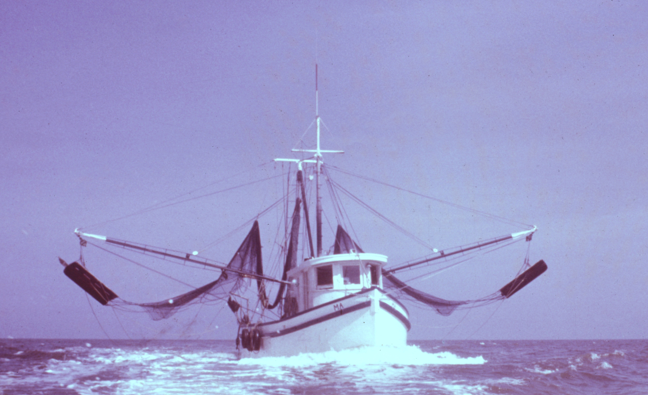 Double-rigged shrimp trawler underway with trawl nets up and out of water -head on view
