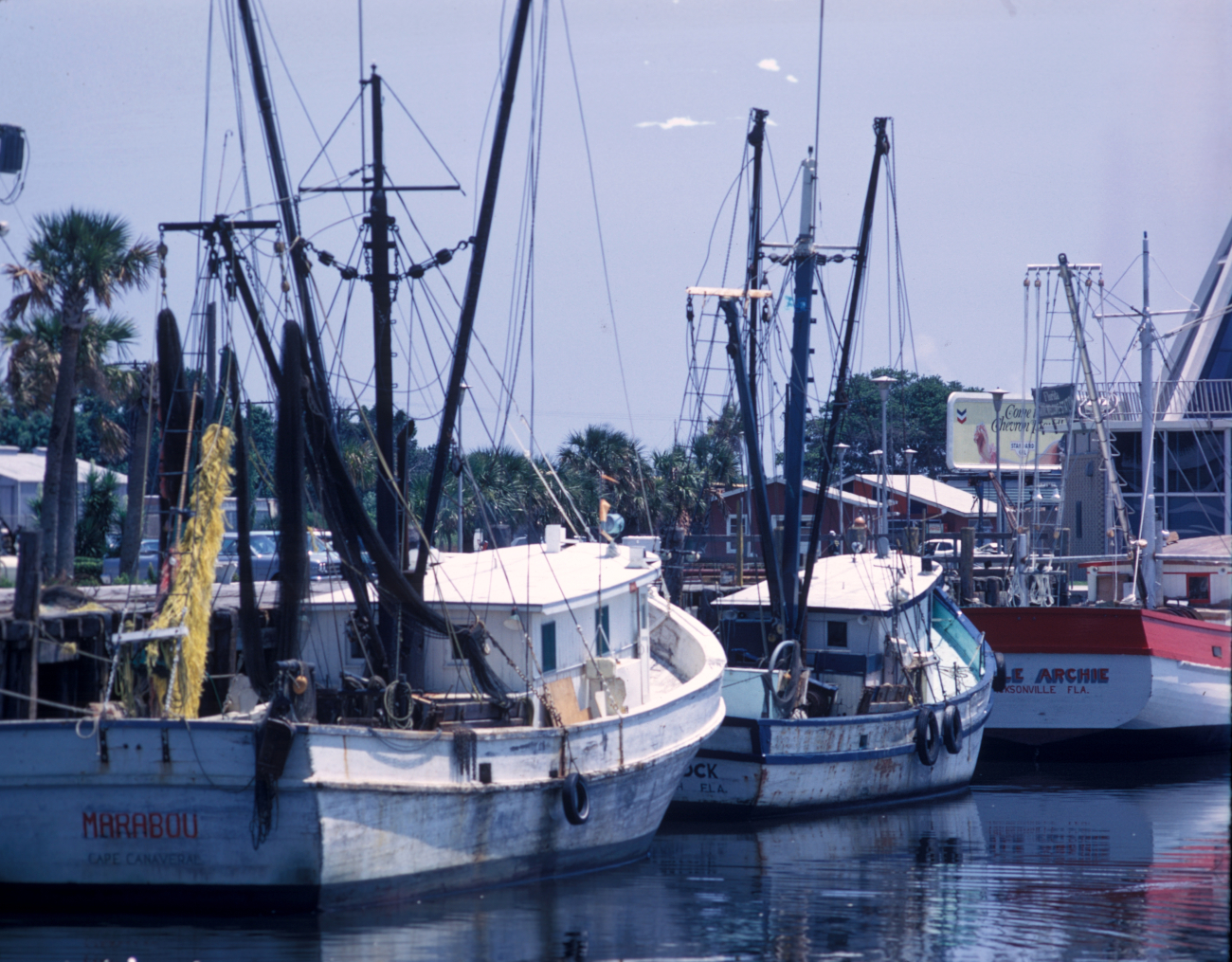 Shrimp boats tied up on Florida east coast