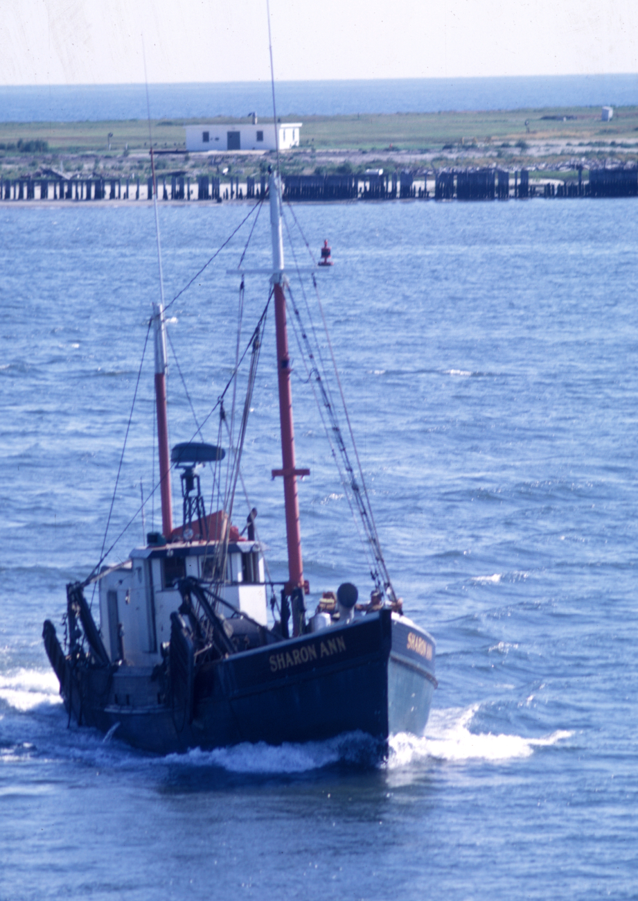 Although hull design is similar to Cape May clam dredgers, the vessel SHARONANN is rigged as a shrimp trawler