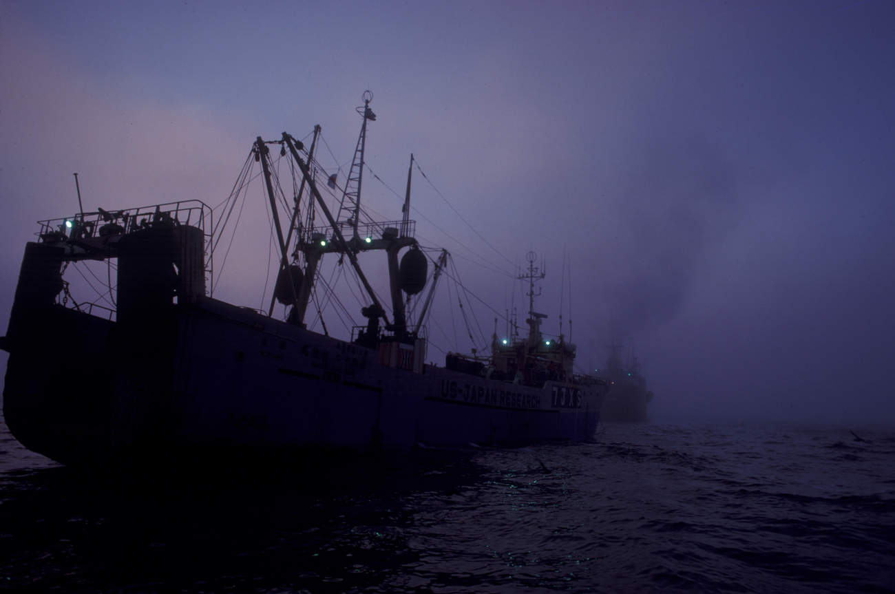 US-Japan Fisheries research vessel HATSUE MARU approaching Japanesefactory ship in the eastern Bering Sea