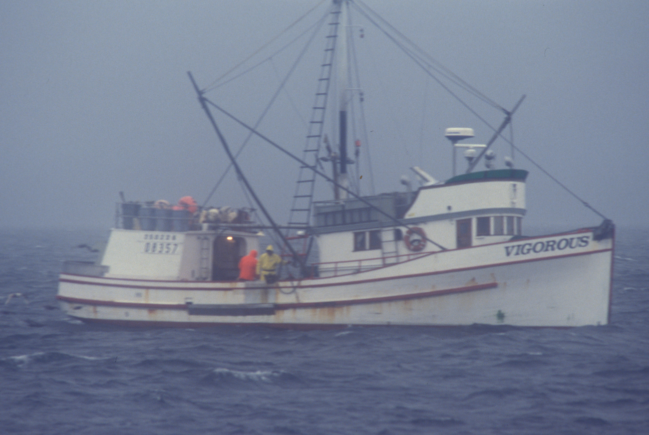 Longline fishing vessel VIGOROUS