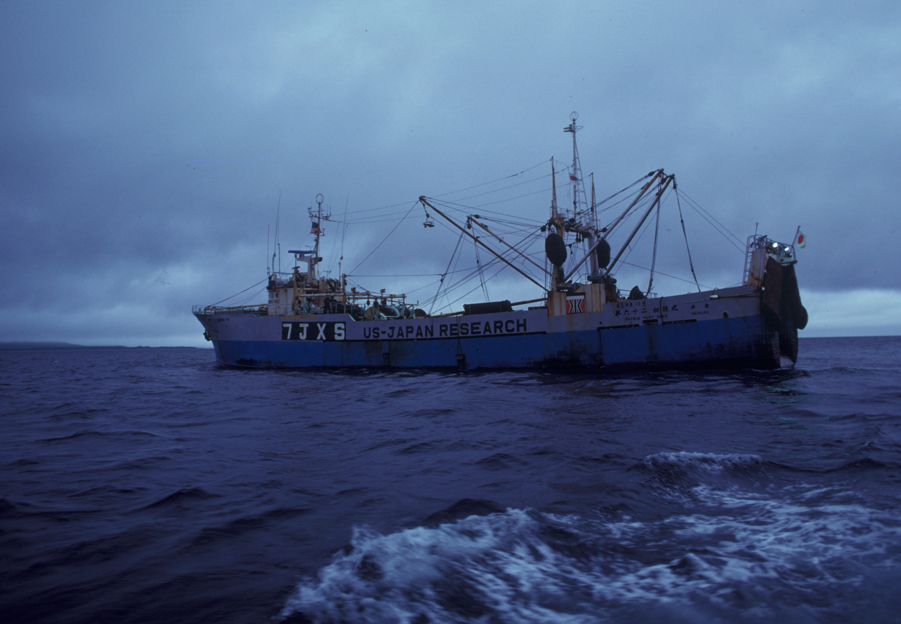 Japanese fisheries research vessel HATSUE MARU used in cooperative1980 study of groundfish in the eastern Bering Sea