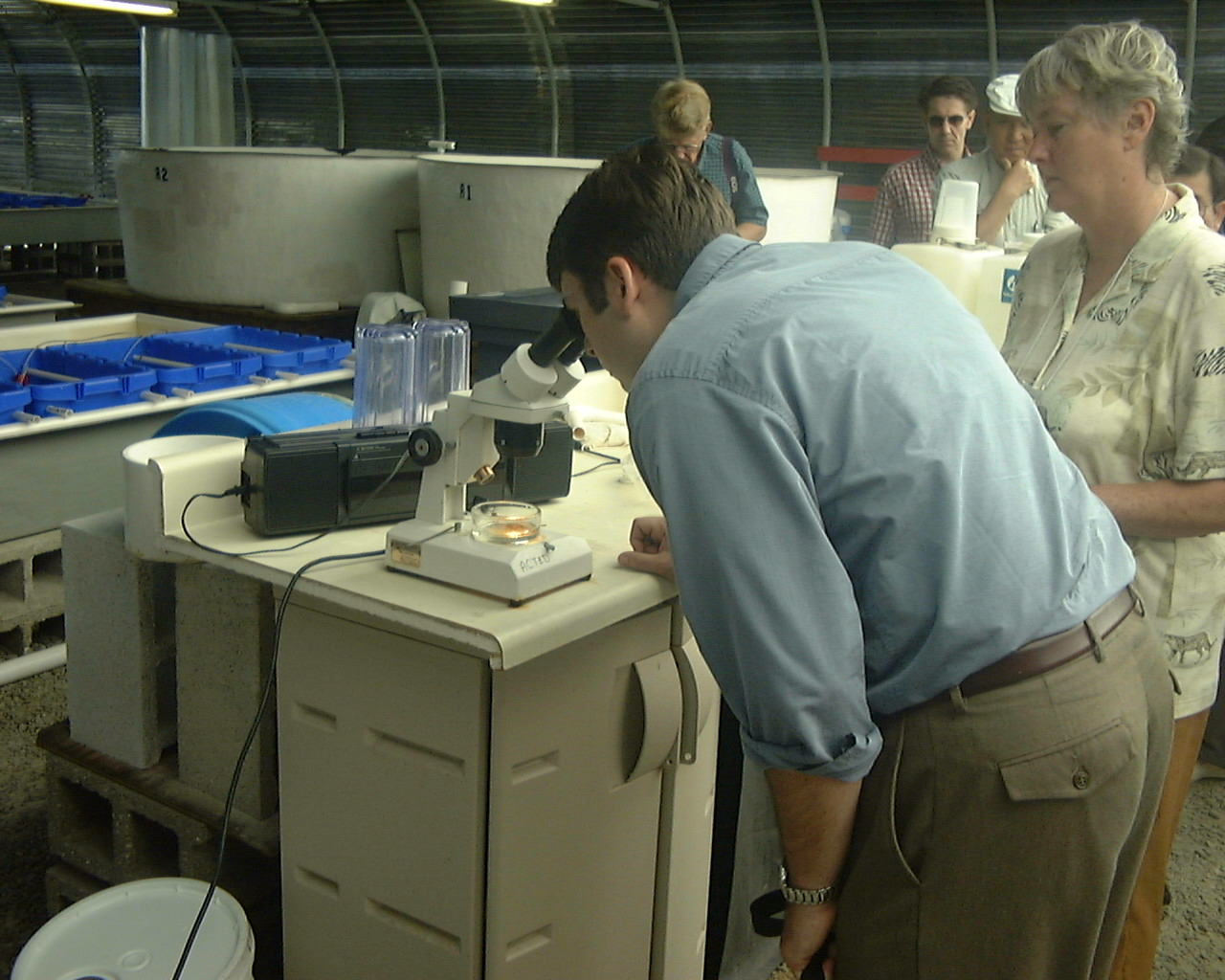 Dominic Preiswick NOAA OAR looks at veliger larva under a microscopeat one of the Harbor Branch Oceanographic Institute laboratories