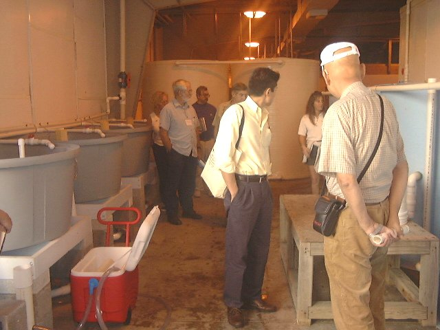 Aquaculture researchers observe the circular plastic tank systemat the Florida Stock Enhancement Research Facility