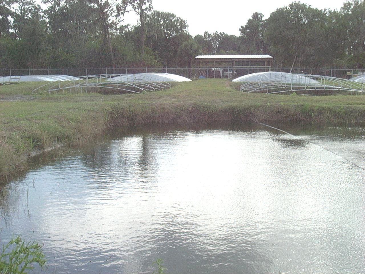 Ponds for fish culture with open framework showing