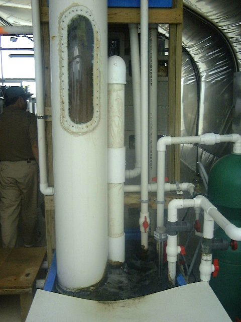 Filtration unit for greenhouse re-circulating system in aquaculture