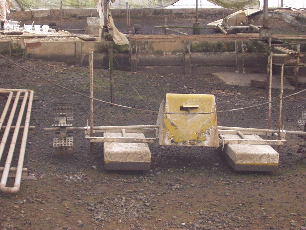 Fallow eel culture pond showing aeration paddle machine on pond floor bottom