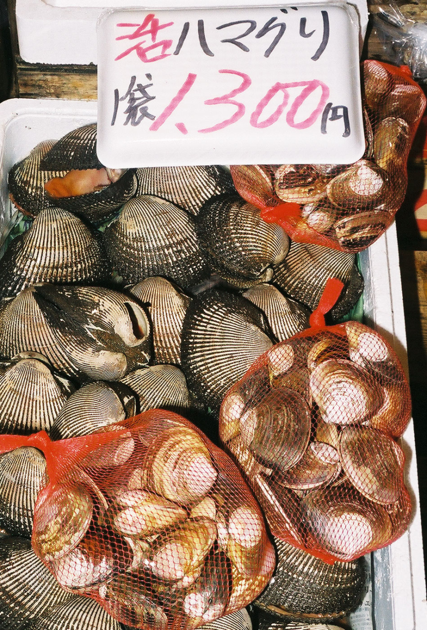 Anadara sp and Mactra sp for sale at the Shiogama market in Japan