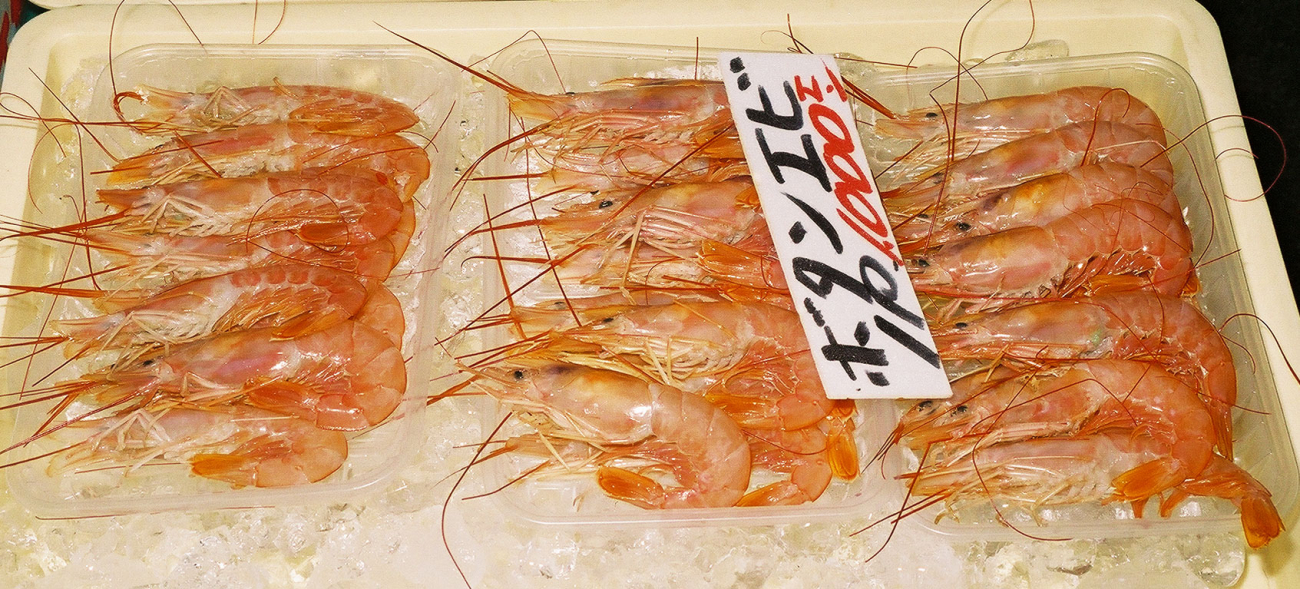 Marine shrimp for sale at the Shiogama seafood market in Japan