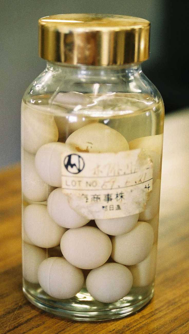A jar of cultured soft-shell turtle eggsmarked by harvest lot at a Japaneseturtle farm