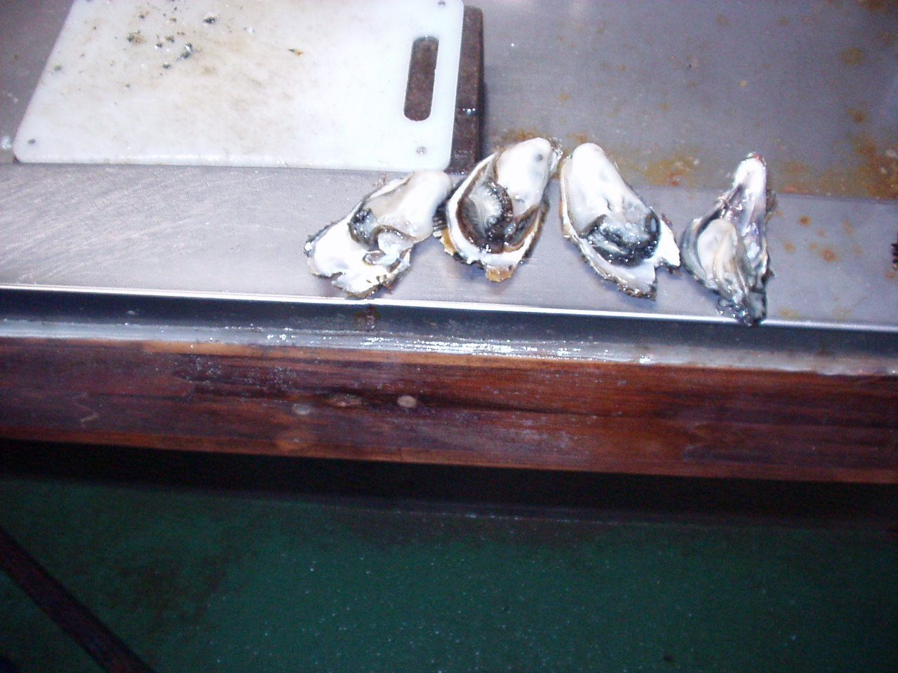 Half-shell oysters showing good size from an aquaculture farm in Japan