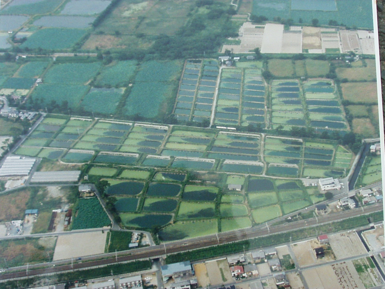 Aerial view of Hattori-Nakamura Soft-shelled Turtle Farm