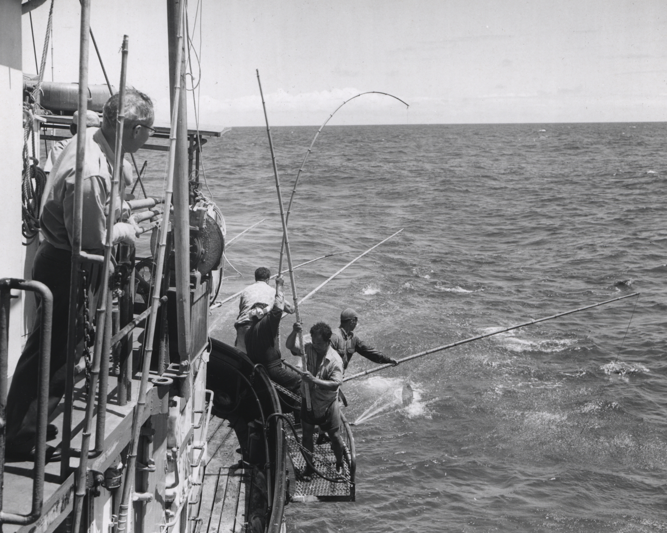 Fishing for tuna aboard a BCF research vessel in the central Pacific