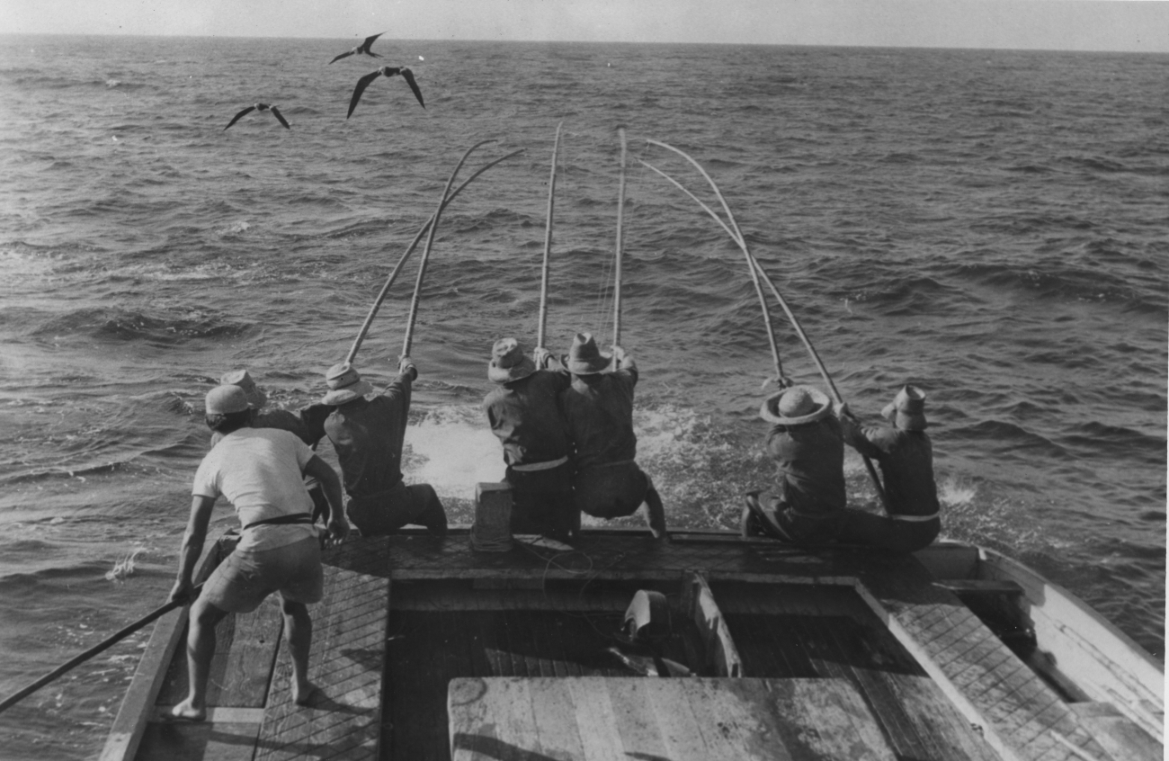 Tuna fishing on the trade wind BCF 206