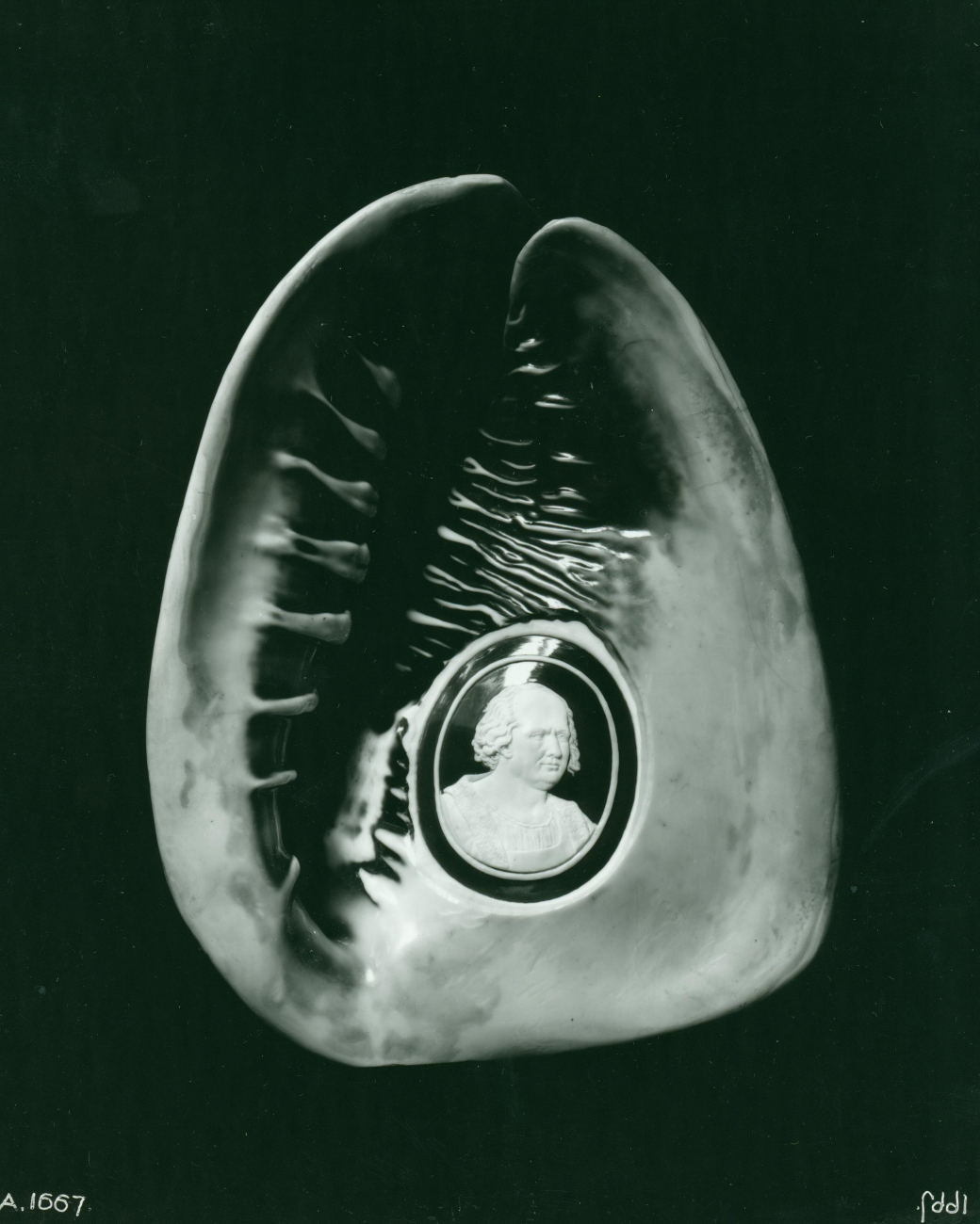 Pearl cameo shell - Sardonyx helmet shell with a portrait of Columbus