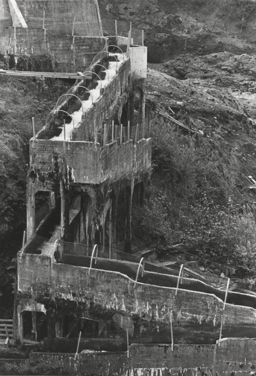River Mill Dam fish ladder