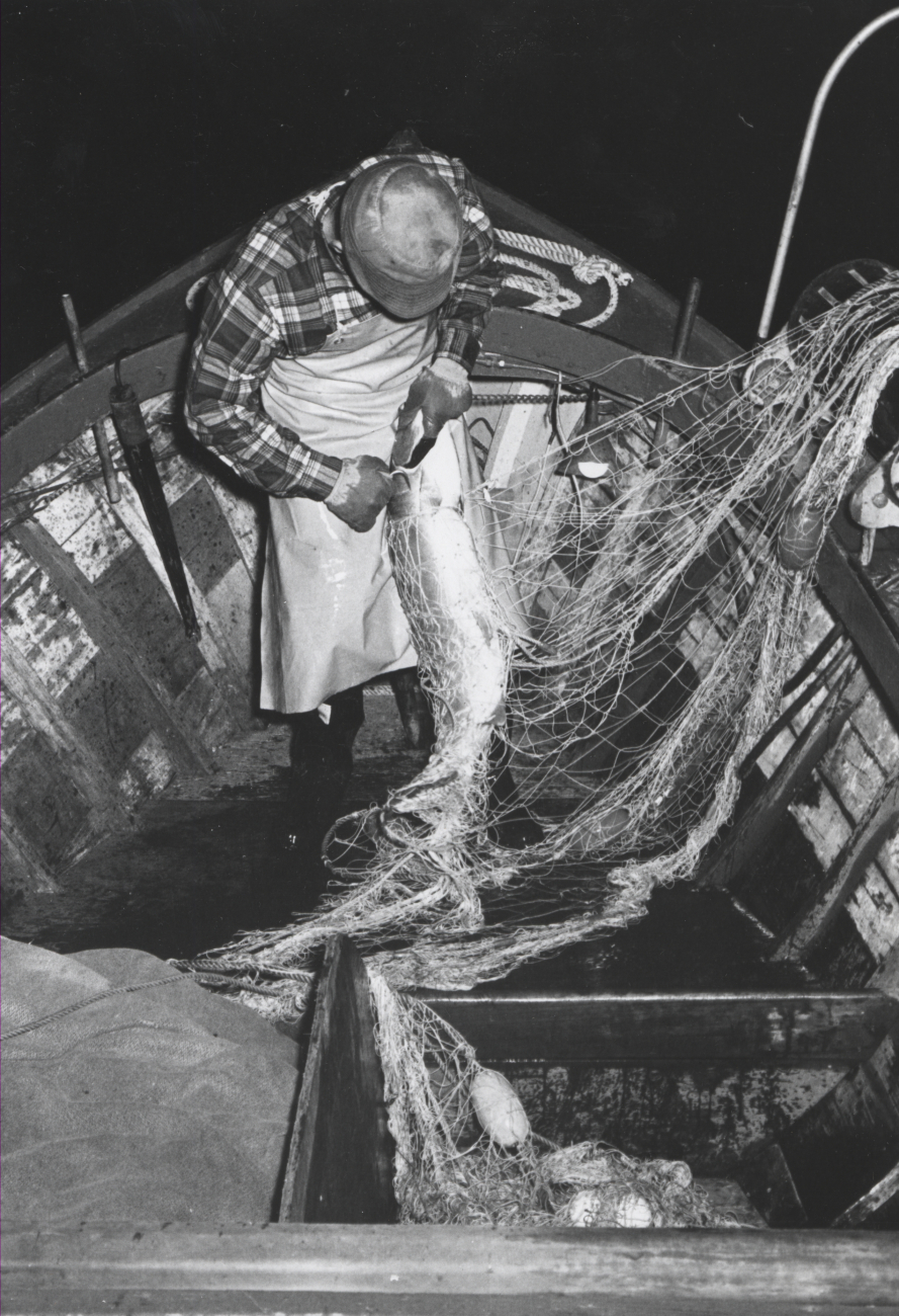 Small boat salmon gill net operations