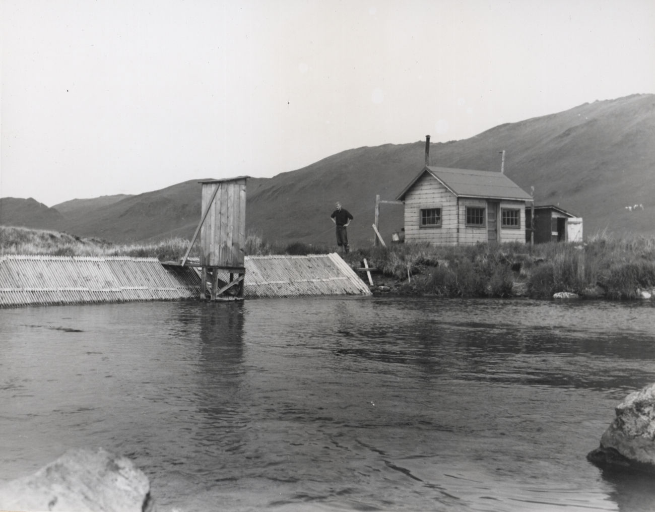 Salmon counting weir and cabin