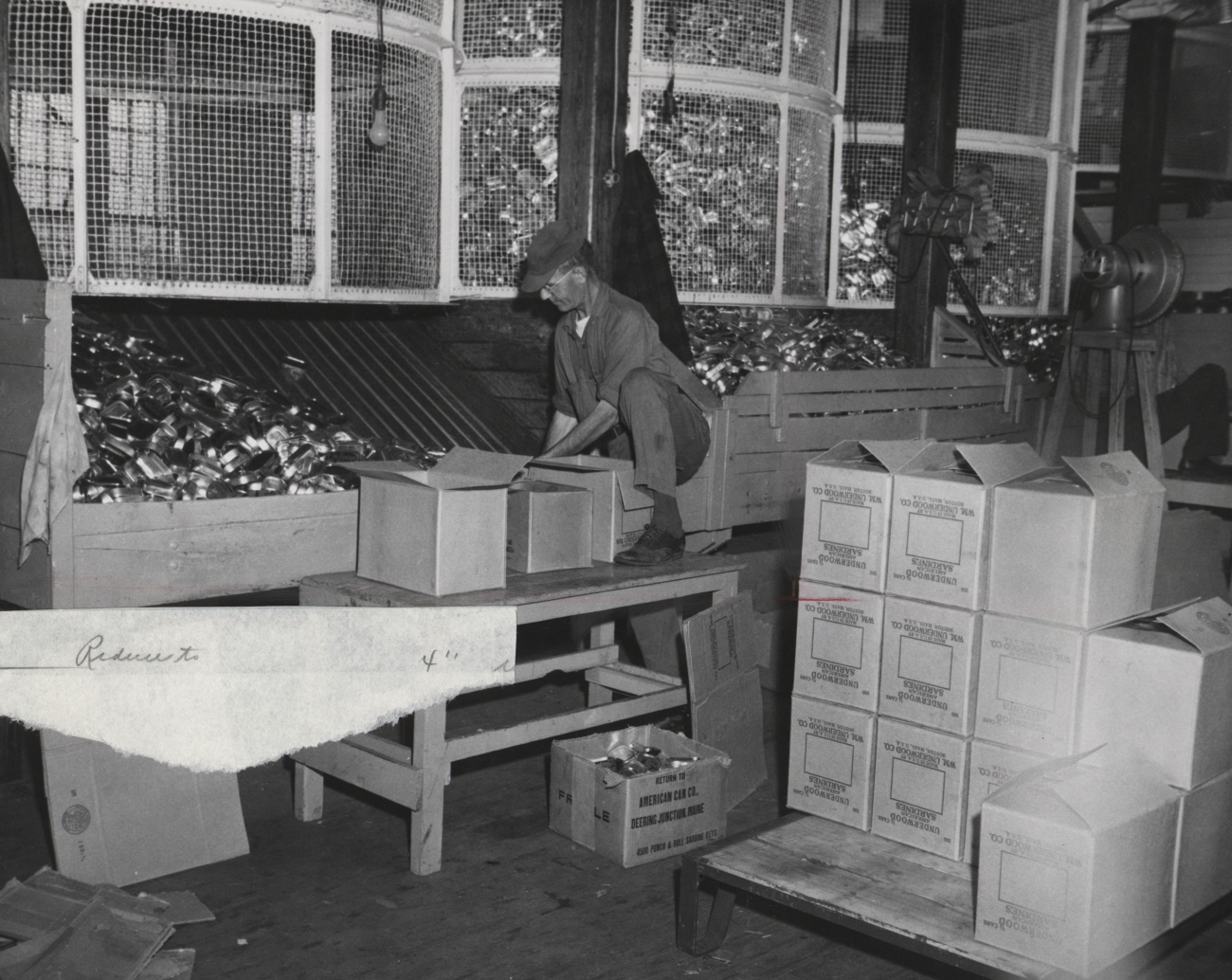 Putting cans of sardines into cartons at a sardine canning plant