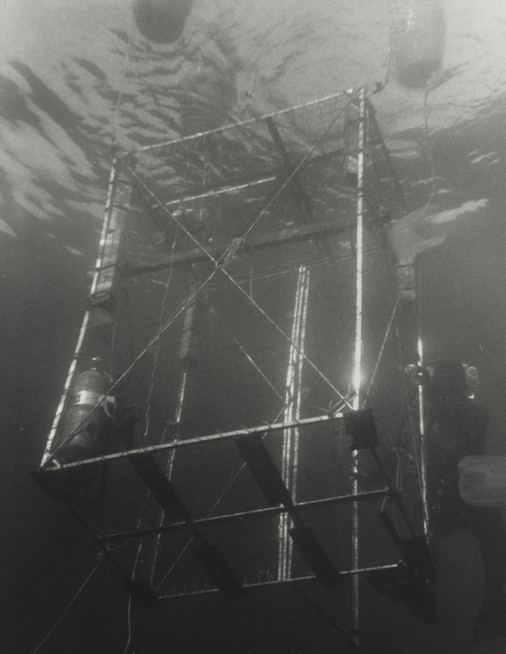 Diver biologist entering shark cage from sport fishing boat