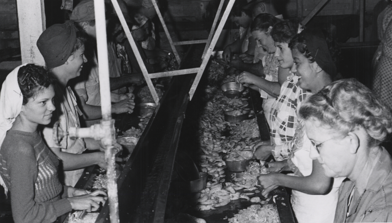 Women on assembly line at shrimp processing facility