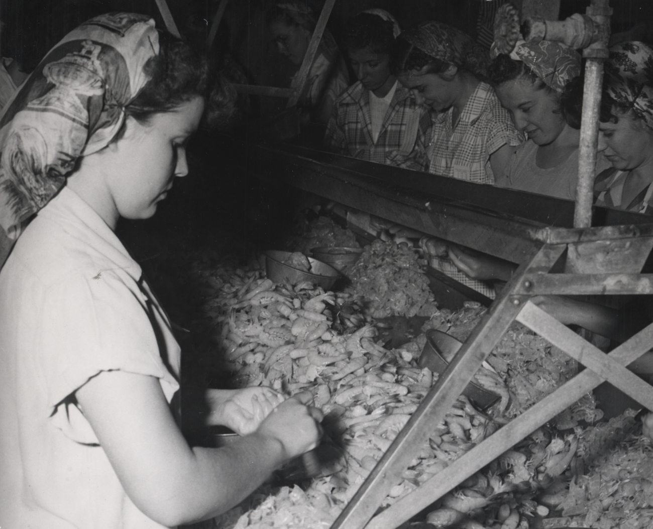 Women on assembly line at shrimp processing plant