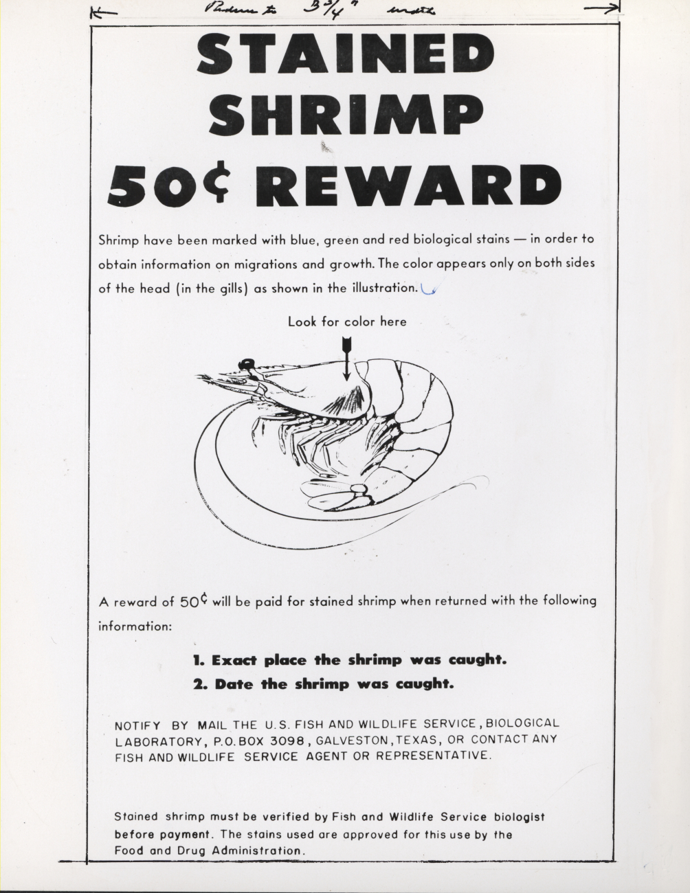 Reward poster for return of stained shrimp