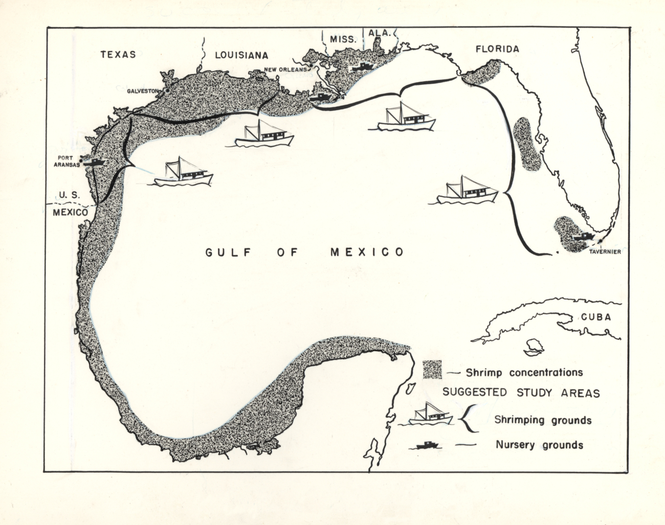 Map showing shrimp concentrations and suggested study areas in the Gulf ofMexico