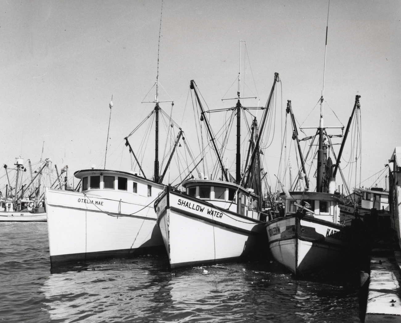 Double-rig shrimp trawling in the Gulf of Mexico