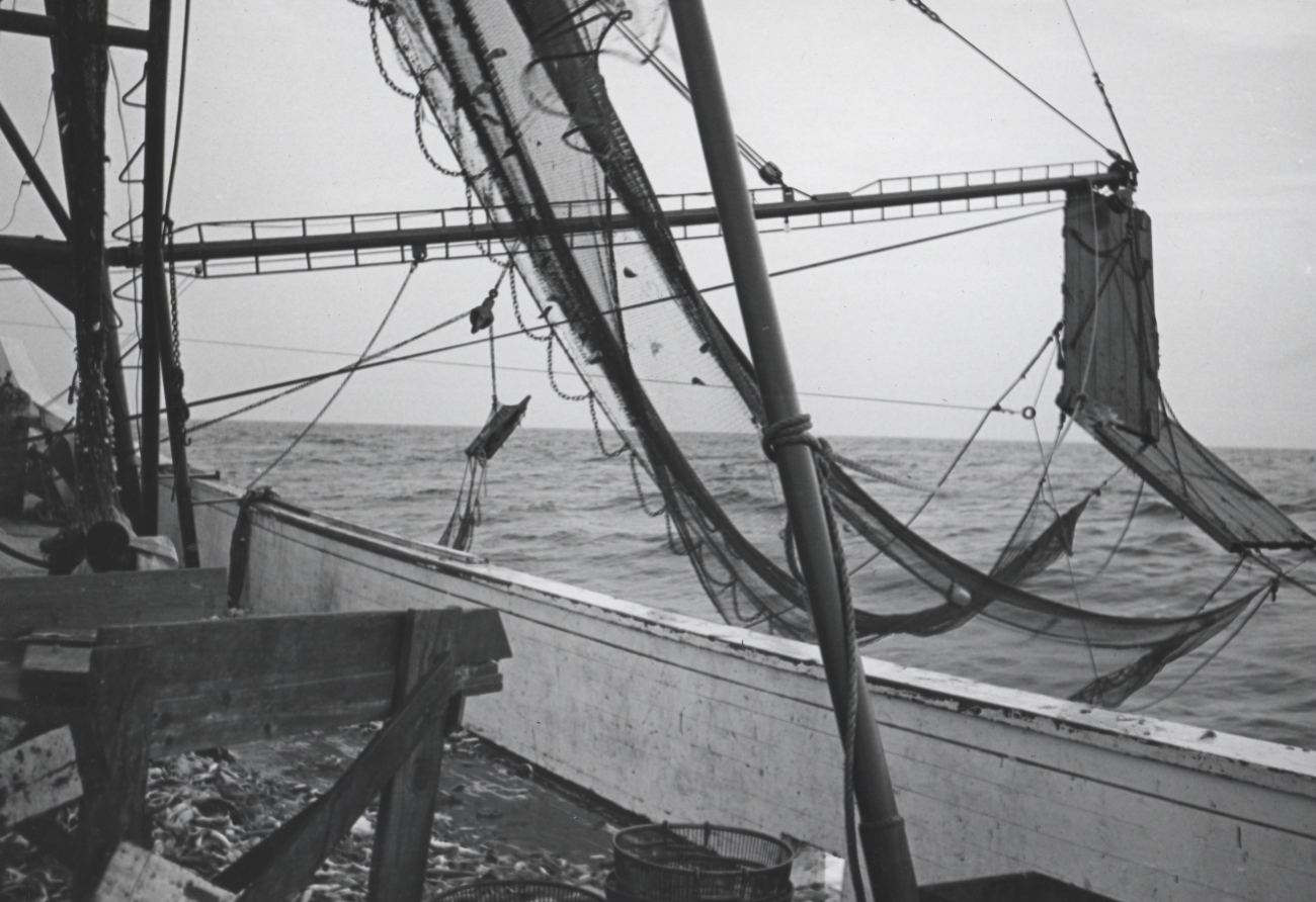 Setting shrimp net aboard the fishing vessel DUDLEY