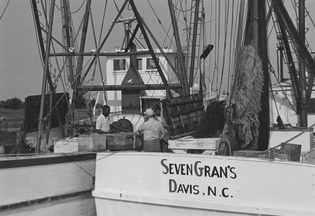 Unloading shrimp off DUDLEY while tied up outboard of Seven Gran's
