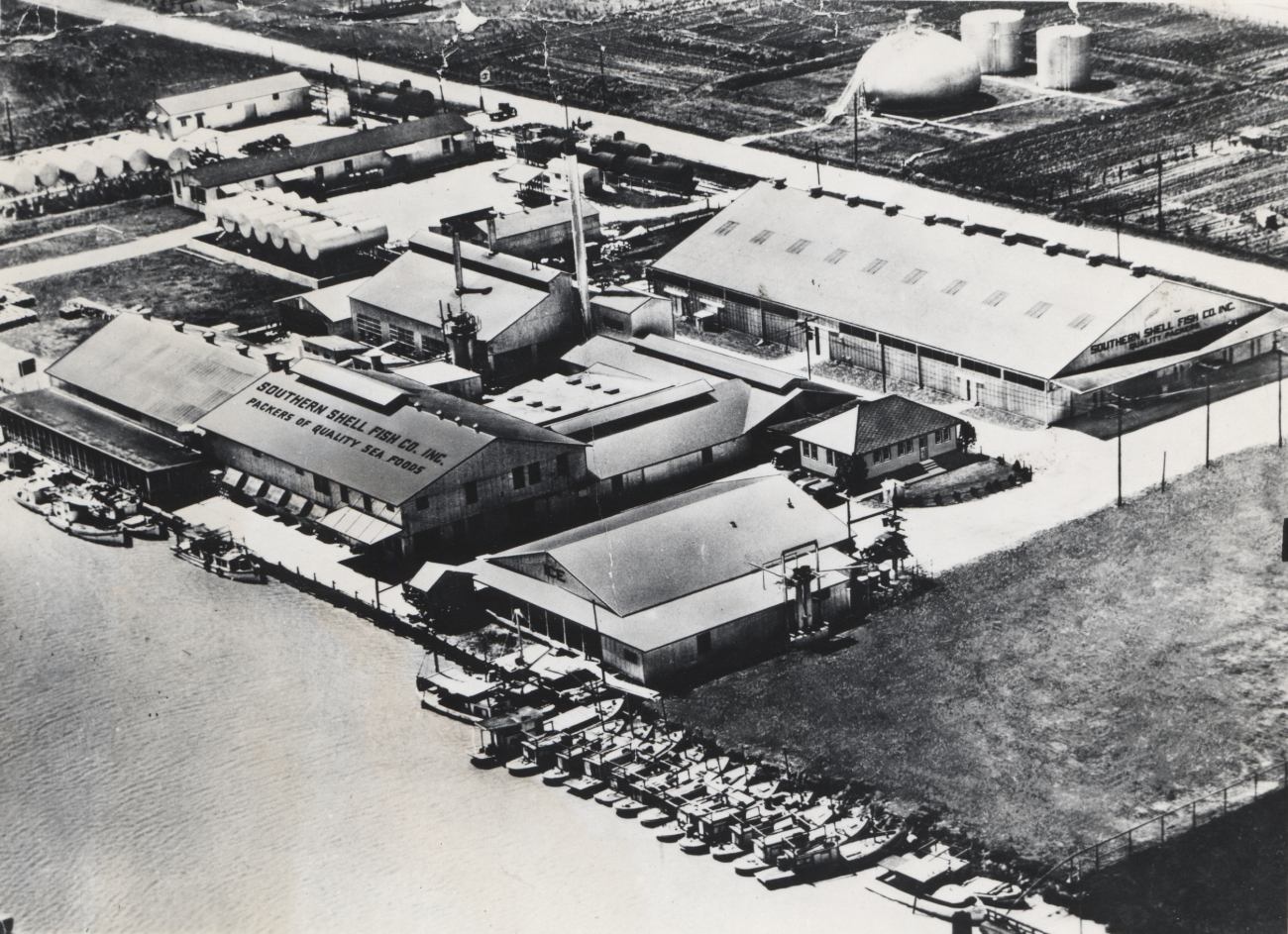 A modern shrimp cannery, that of the Southern Shell Fish Company