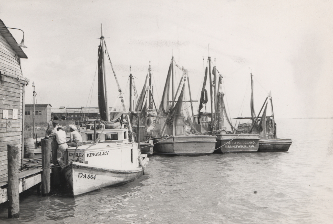 Shrimp trawlers in port