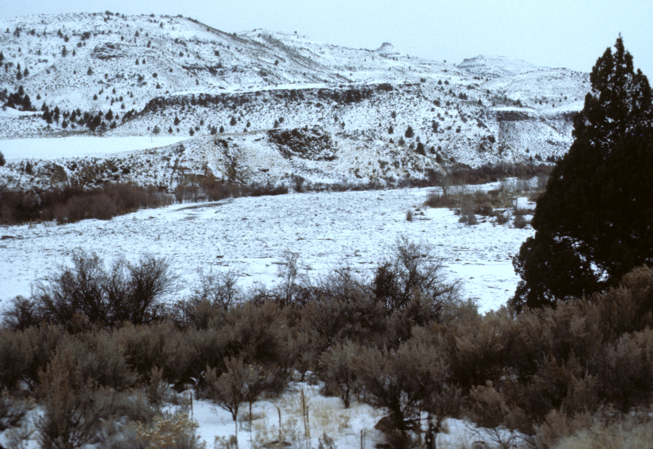 A winter day along the John Day River near its junction with its North Fork