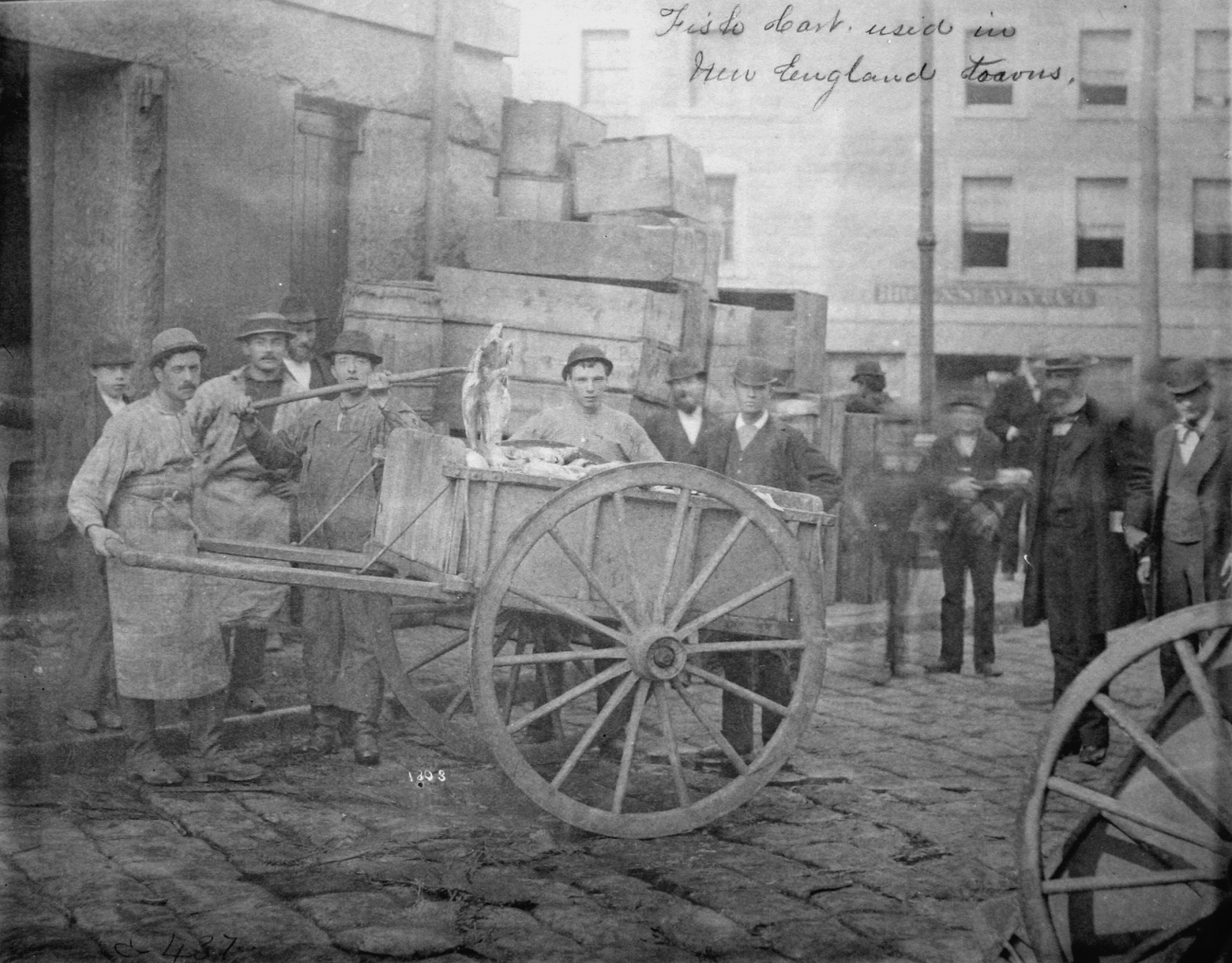 Fish cart used in New England towns