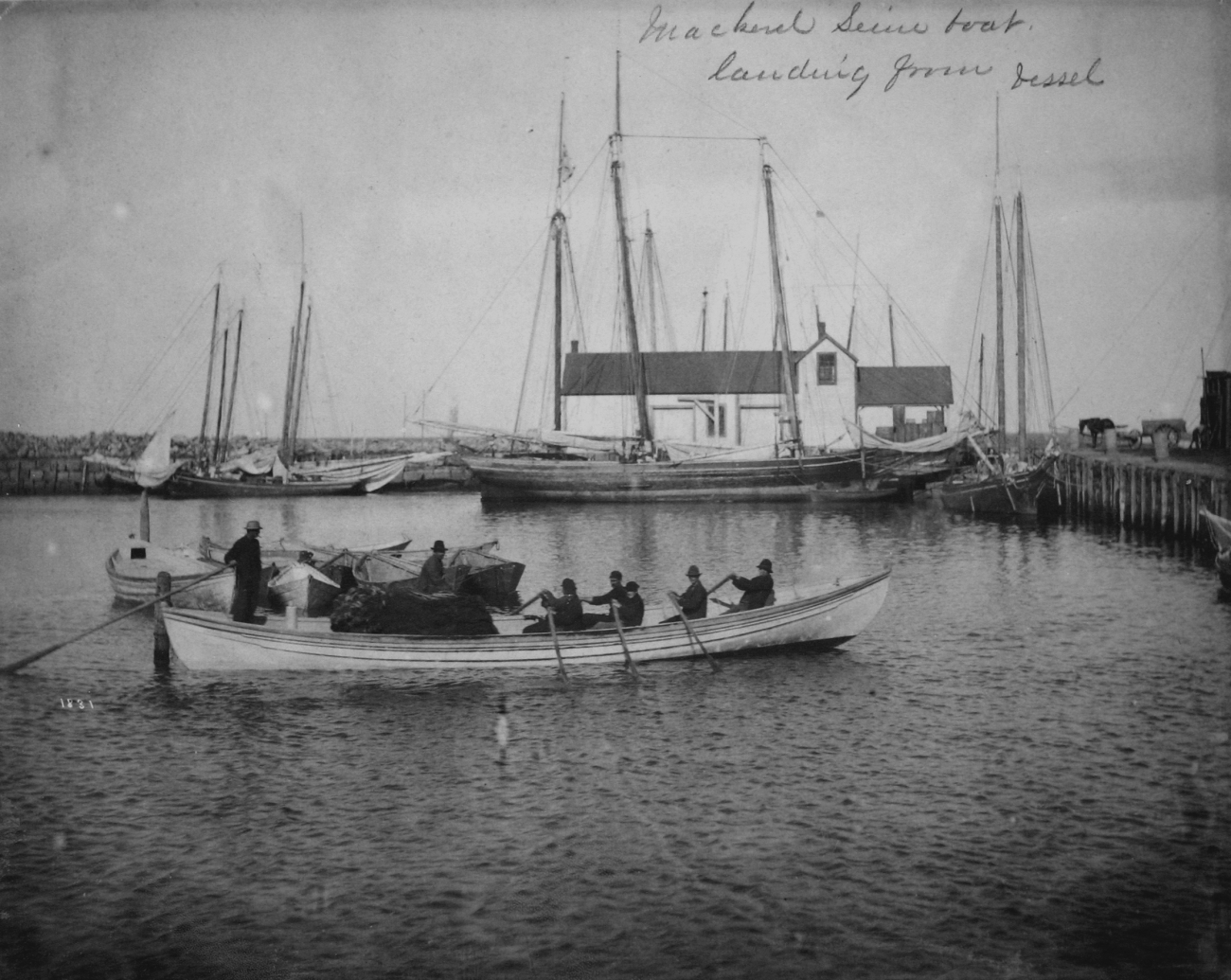 Mackerel seine boat, landing from vessel