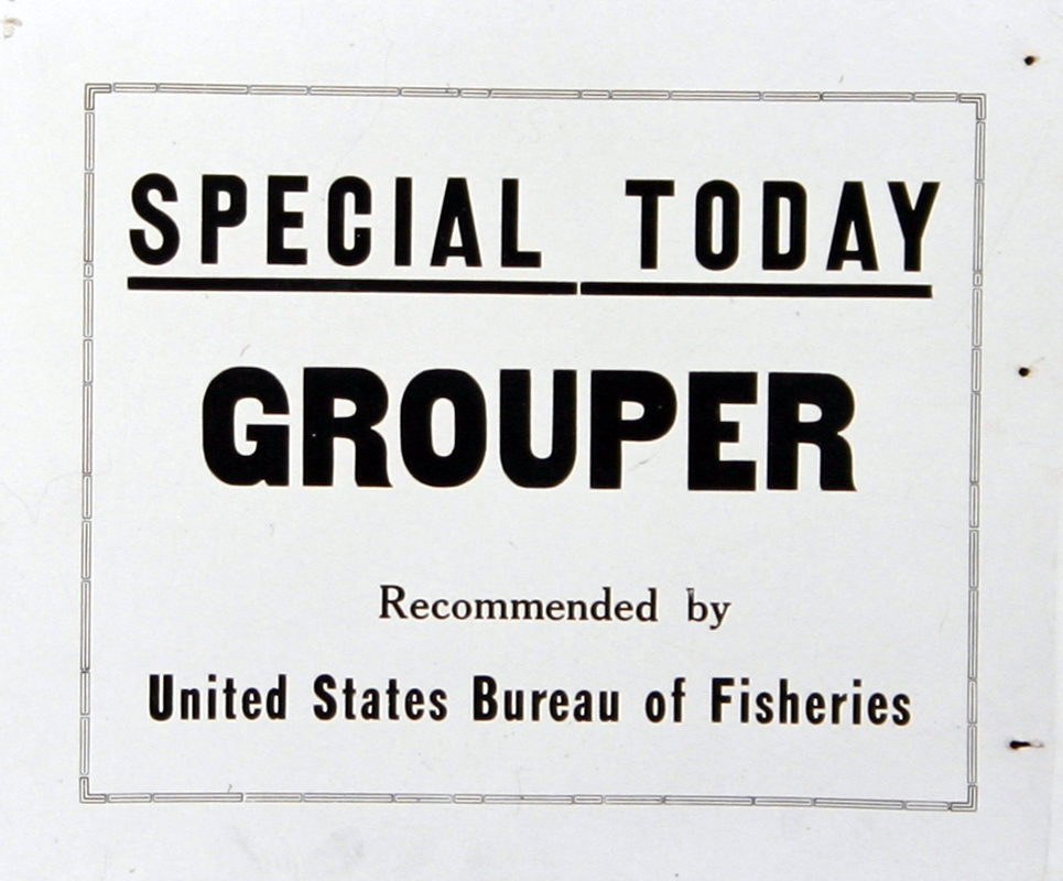 Poster, broadside, Special Today Grouper