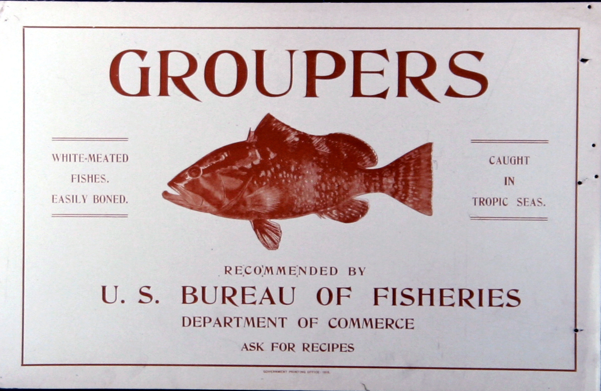 Poster, broadside, Groupers