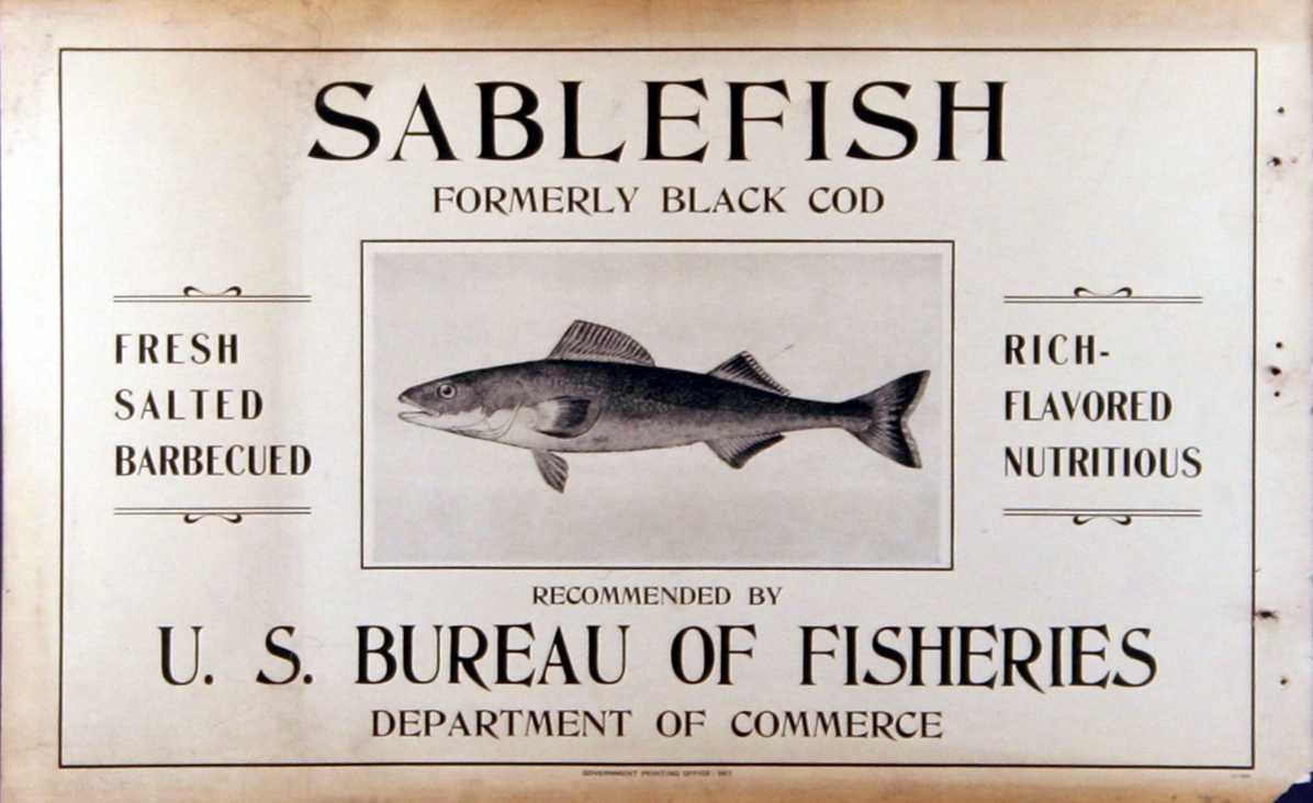 Poster, broadside, Sablefish