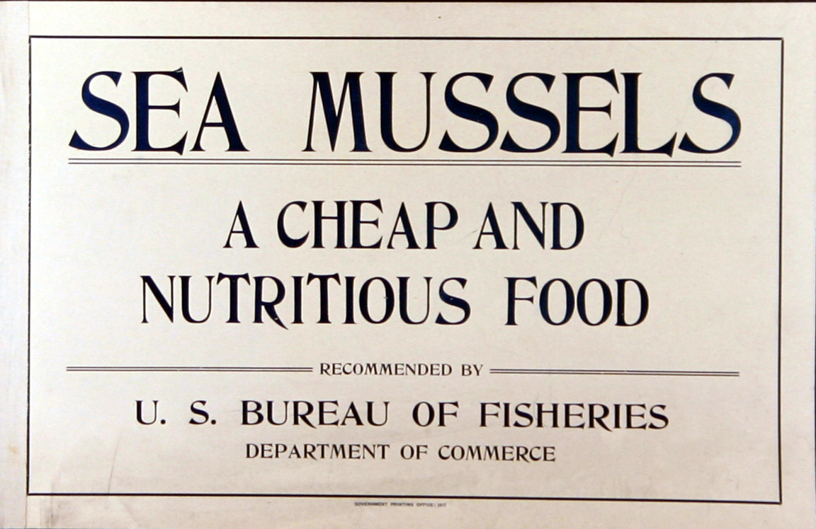 Poster, broadside, Sea Mussels