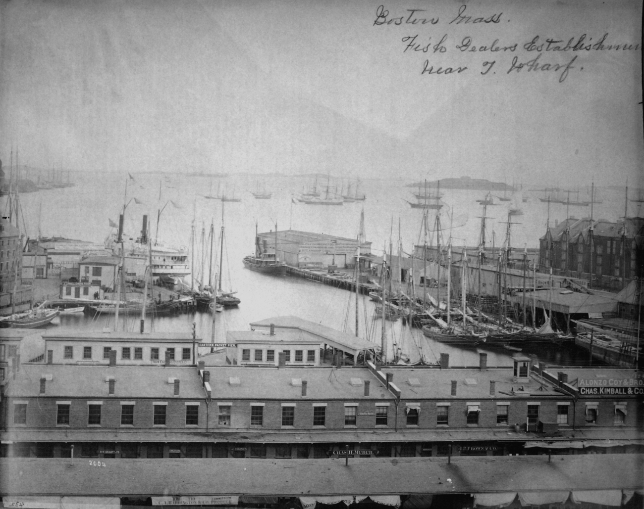 Boston, MA, fish dealers establishments near T Wharf