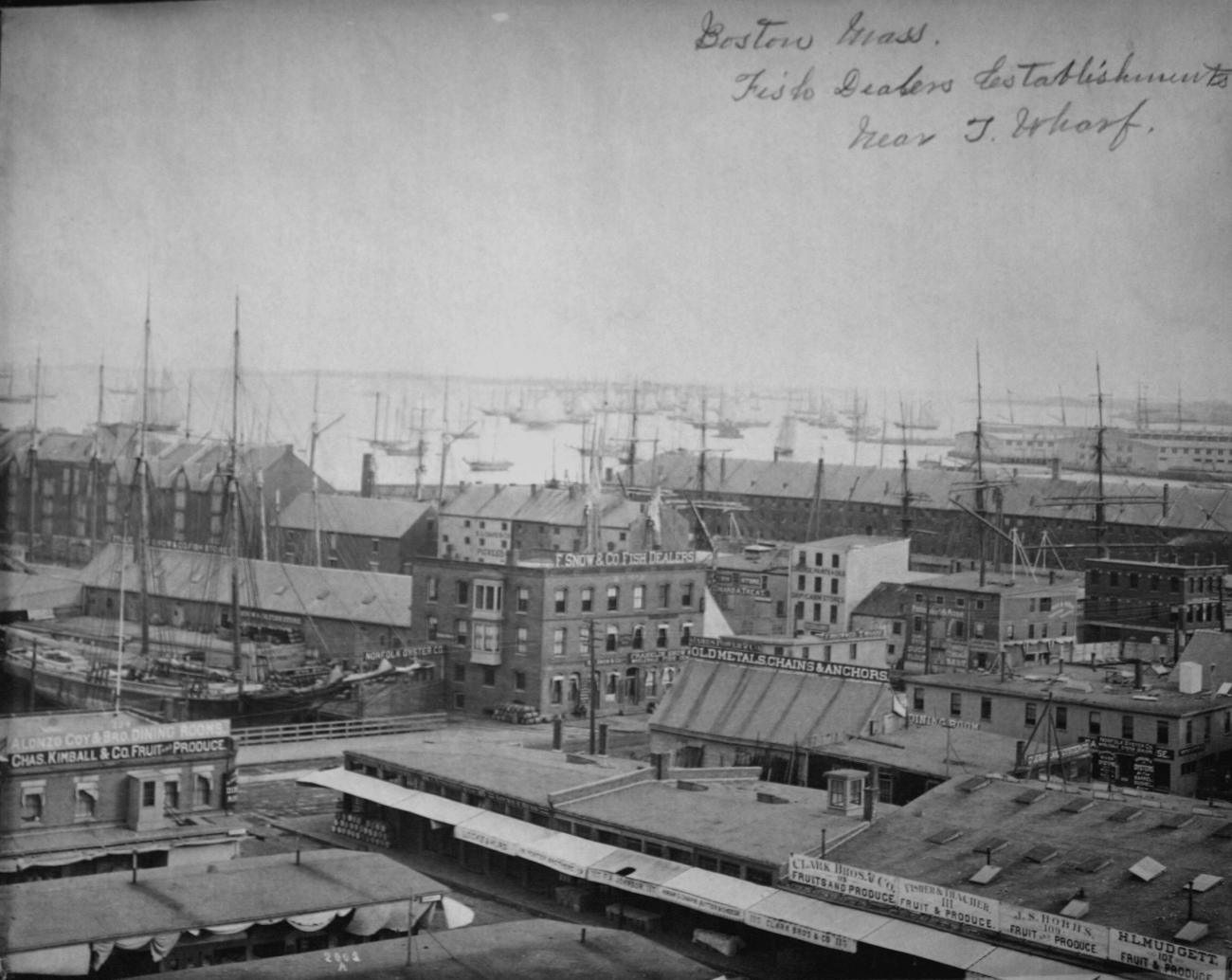 Boston, MA, fish dealers establishments near T Wharf