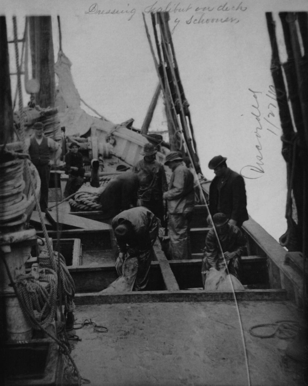 Dressing halibut on deck of schooner