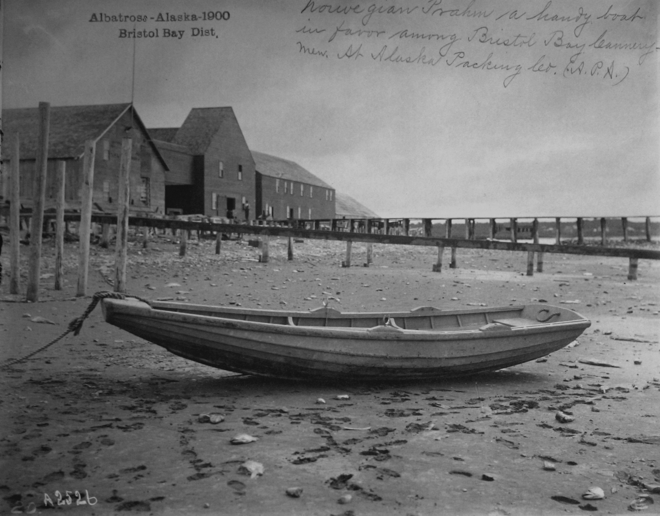 Albatross, AK, 1900, Bristol Bay district, Norwegian prahm, a handy boat infavor among Bristol Bay cannery at Alaska Packing Co
